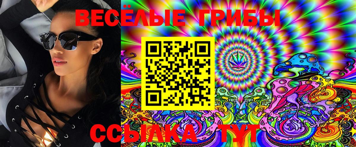 Луга  Галлюциногенные грибы Magic Shrooms  Вход с VPN  Галлюциногенные грибы GOLDEN TEACHER 