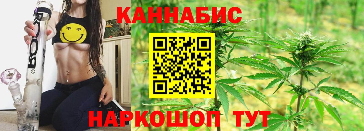 МАРИХУАНА SATIVA & INDICA Луга